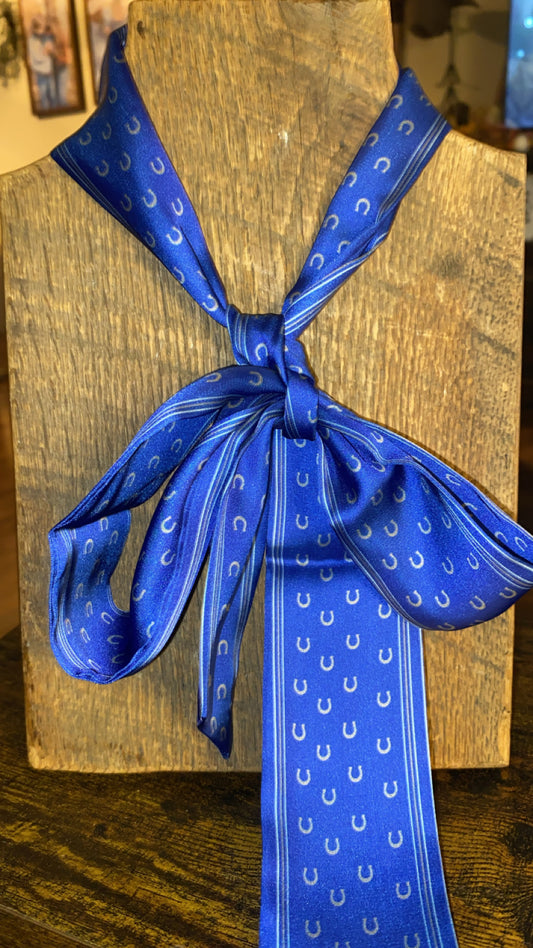 Got The Blues  Horseshoe Twilly