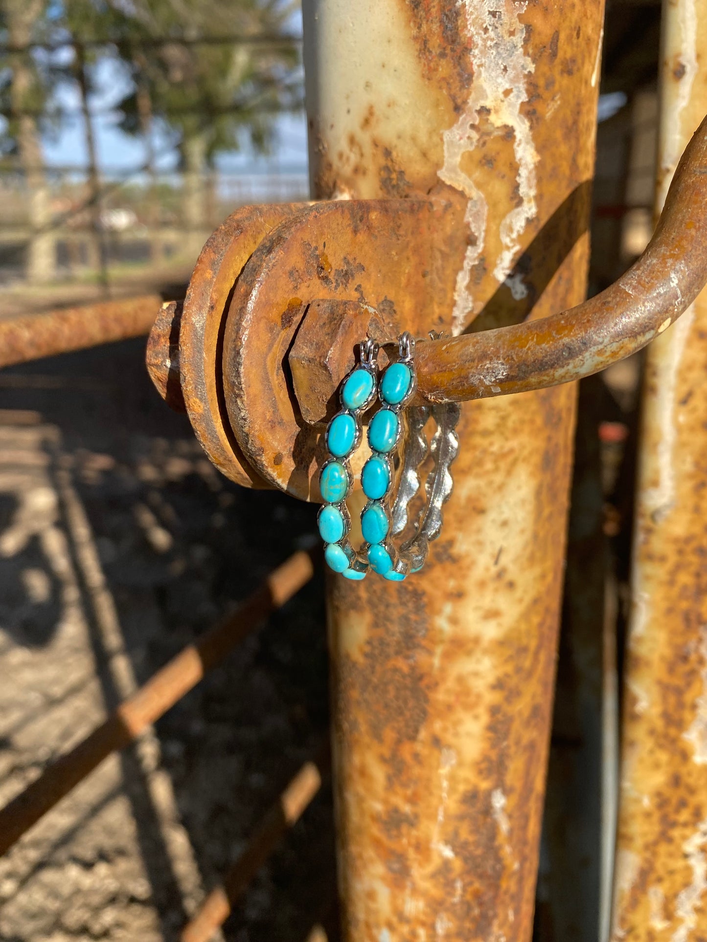 Oval Hoop Earrings