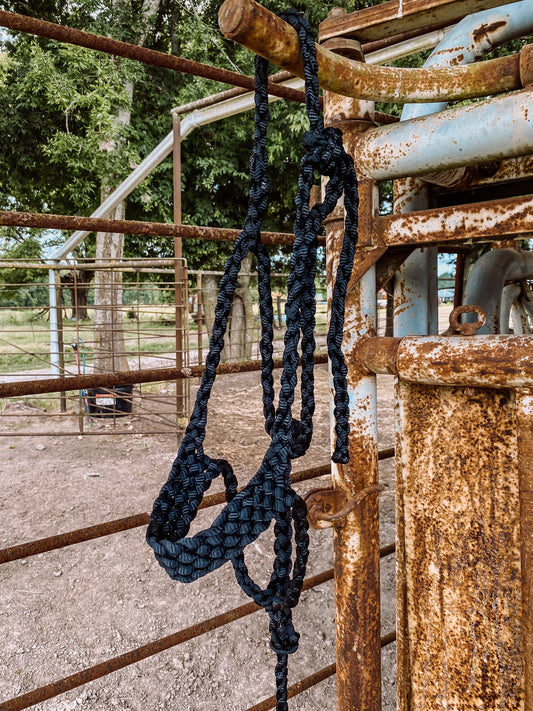 Black Mule Tape Halter